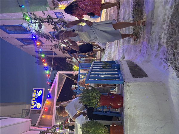 IMG 0203